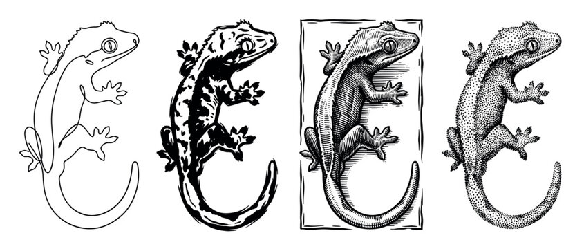 Four distinct black and white gecko illustrations showcasing various artistic styles including continuous line, bold brush strokes, detailed woodcut engraving, and intricate stipple dot art