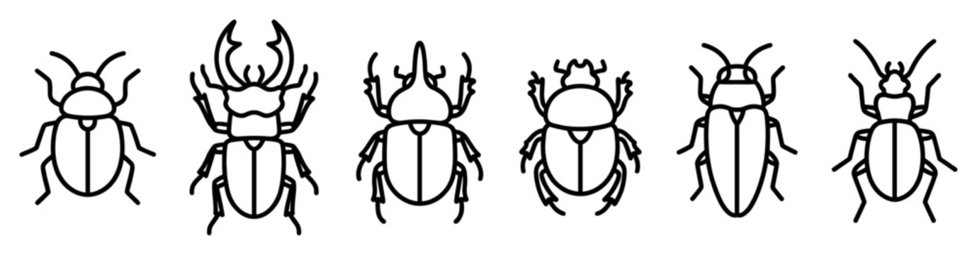 Six distinct black outline beetle illustrations are presented in a neat row, showcasing various insect species with simple, clean line art and an iconic style