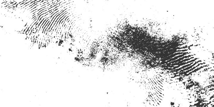 Close up of a black fingerprint smudge with textured ridges on a white background