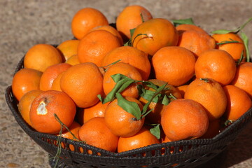 Fresh Ripe Mandarins in Basket, Natural Citrus Harvest Close-Up