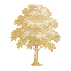 Obraz premium PNG Elegant vintage tree illustration