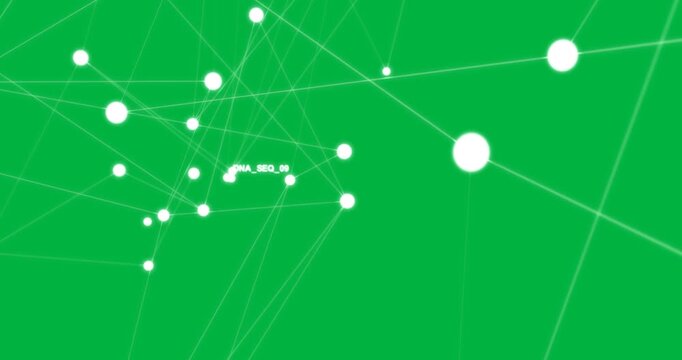 Seed starting network growing into dense lattice, joints glowing, zooming on transparent