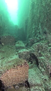 Observe a Giant King Crab exploring the depths. The majestic creature gracefully navigates a rugged underwater landscape, surrounded by serene teal waters and natural rock formations.