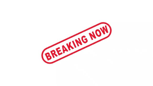 Breaking Now Stamp Label Animation on Clean White Background for Urgent Broadcast Media Alert and Announcement 4K Motion Graphics Animation