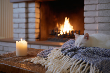 Cozy cat napping by the warm fireplace on a chilly evening