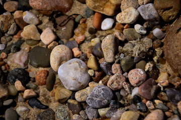 pebbles on the beach