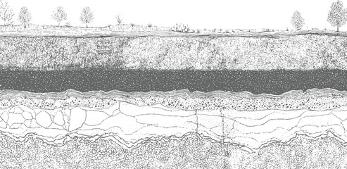 Cross section of layered earth strata with trees and vegetation on the surface ground soil layers © Towhidul
