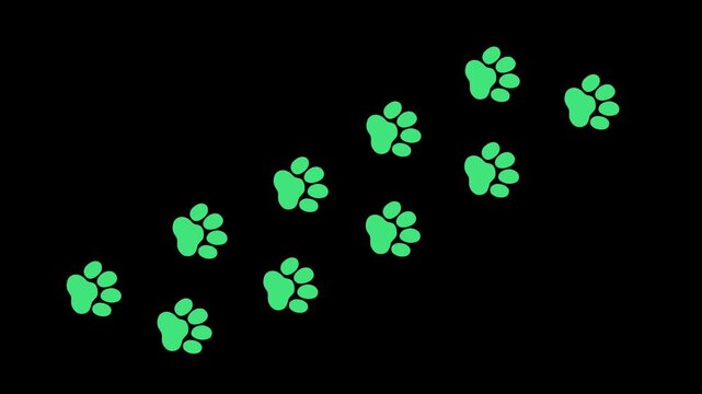 Animal paw print footsteps animation creating a moving trail on black background. Pet care, veterinary clinic, adoption campaign, and wildlife concept motion graphic in flat design style. 4K video
