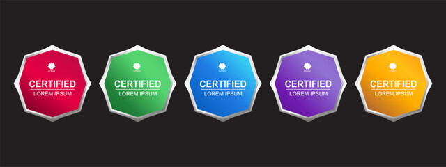 Premium Certificate Badge Hexagon Template Vector Illustration