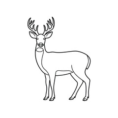 Obraz premium Simple line drawing of a majestic stag with large antlers