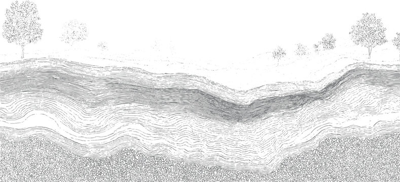 Cross section of layered earth showing geological strata and trees on the surface