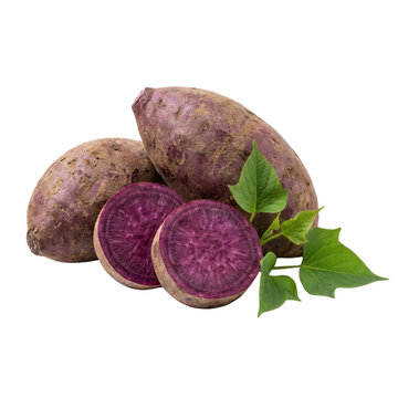 Fresh Ube Sweet Potatoes, Whole and Sliced with Green Leaves