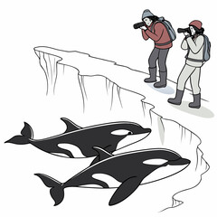 Two orcas swimming near cliff with wildlife observers © MST RAMIJA