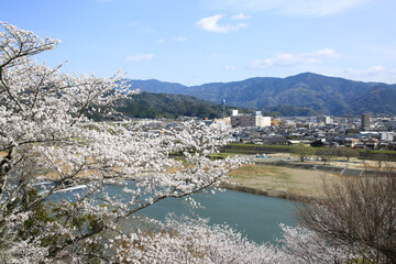愛媛県大洲市　大洲城から見た大洲市内