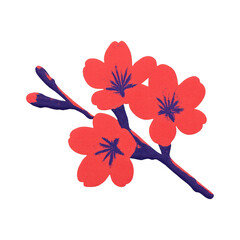 Obraz premium PNG Vibrant floral illustration design