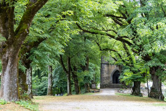 all&eacute;e bois&eacute;e menant &agrave; l'&eacute;glise Sainte-Madeleine &agrave; Frontenay dans le Jura en France en &eacute;t&eacute;