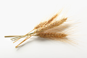 Wheat stalks arranged on a plain background showing growth and harvest