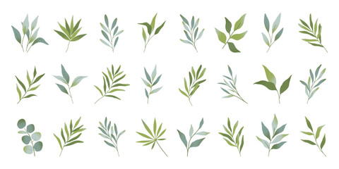 Green botanical branches and leaves.Eucalyptus,olive,palm,bamboo,herbs,grass sprigs.Elegant foliage with texture isolated on white.Minimal floral design elements for branding,logo,wedding,invitations © Xenia Artwork 