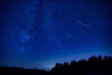 Fototapeta premium Milky Way stars with meteor shower trails and countryside tree silhouettes.