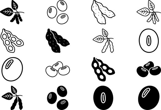 Soybeans Vector Illustration