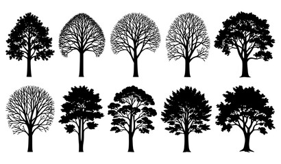Obraz premium Diverse Realistic Tree Silhouettes Black Nature Forest Vector Bundle