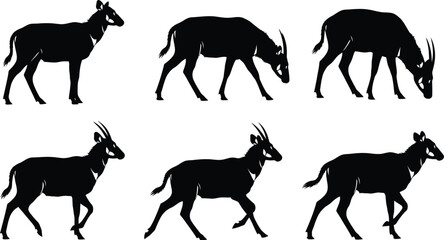Fototapeta premium Siluetas vectoriales de Saola en 6 poses diferentes hoja �nica fondo blanco