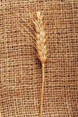 Naklejka premium Wheat grain on burlap fabric displayed in a simple setting for food preparation