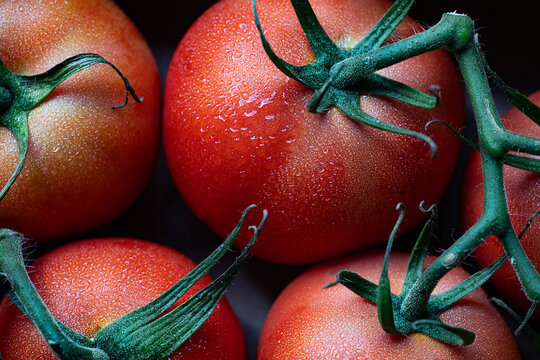 Tomatoes on the vine