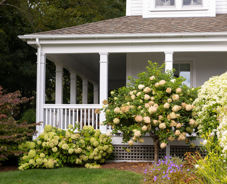 House porch with gardens 