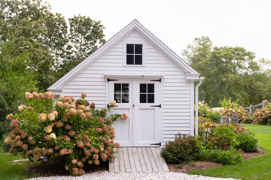 Garden Shed backyard Hydrangea Flower Fall