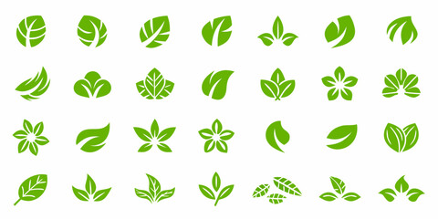 Obraz premium Collection of vibrant green leaf shapes and floral elements