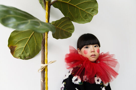 Child dressed in colorful costume with a red collar 