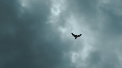Majestic Bird Soaring Through Overcast Sky with Dramatic Clouds and Soft Light in the Background Highlighting Nature's Wild Beauty