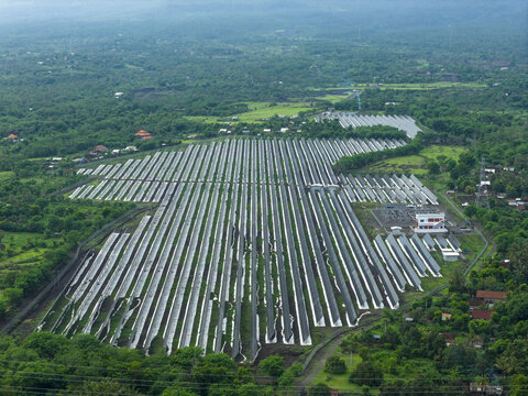 Aerial view of rows of solar panels glinting under the diffused sunlight, contrasting with the dense green foliage surrounding them, Kubu, Bali, Indonesia.