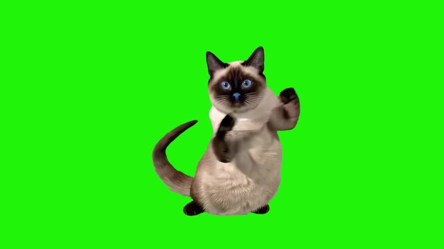 A 3D animated siamese cat with classic markings performing a fun dance on a green chroma key background. Perfect for viral pet videos, social media memes, and humorous commercials.