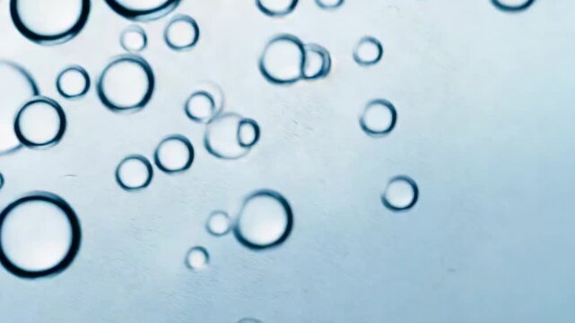 Forming along bottom, cluster of bubbles rising due to buoyancy in clear liquid with dark rims