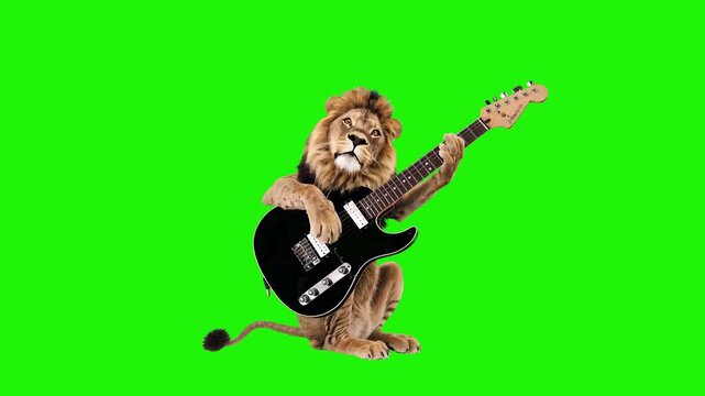 A 3D rendered lion performing with a black electric guitar on a bright green background. The footage is designed for easy compositing in comedy sketches, music-themed projects, or children's entertain