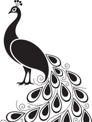 Fototapeta premium Elegant black peacock silhouette with ornate tail feathers vector illustration