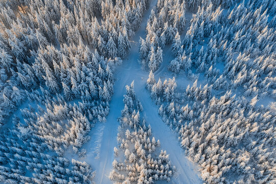 Aerial view of a snow-laden forest where the stark white of the snow contrasts with the deep green of the trees, Winterberg, North Rhine-Westphalia, Germany.