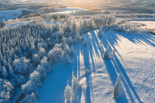 Aerial view of snow-laden trees casting long shadows across the pristine white landscape under the golden glow of the sun, Winterberg, North Rhine-Westphalia, Germany.