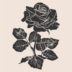 Naklejka premium Flowers linocut vector illustration with grunge texture. Monochrome linear woodcut illustration of rose. 
