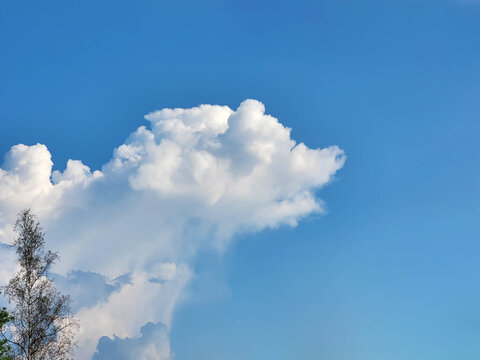 A bizarre white cumulus cloud in the shape of a bear against a blue sky