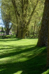 Shaded picnic area near Ermita de Nuestra Senora de Garon in Antiguedad, Palencia province