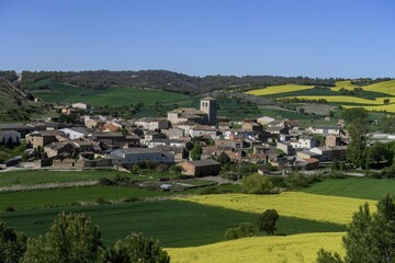 The village of Valdecanas de Cerrato with a stone church and green fields of crops © Agustin