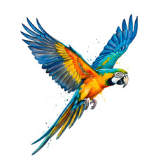 Fototapeta premium Vibrant parrot soaring mid-air with colorful wings, dynamic artistic illustration.