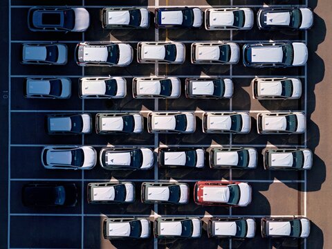 Aerial view of tightly packed vehicles gleam under the sunlight, shadows stretching across the parking lot lines, a sea of white and dark tones broken by a single red car, Civitavecchia, Lazio, Italy.