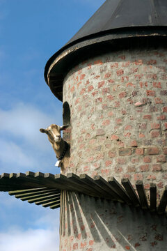 Paarl, South Africa. Goat looking out of an opening in a tower. 