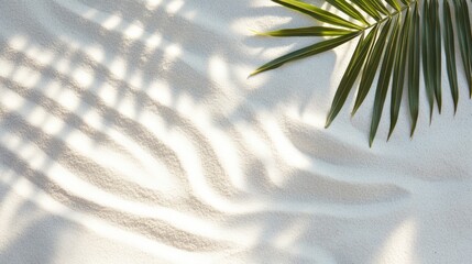 Zen pattern raked in fine white sand with delicate palm leaves casting soft shadows, tranquil spa and meditation concept for wellness branding and presentation background