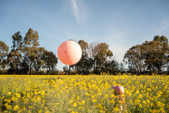 Pink balloon floating over yellow flower field
