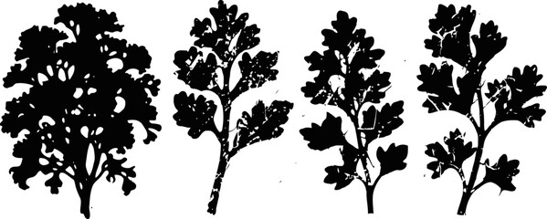 Naklejka premium silhouettes of various parsley leaves and sprigs in black on white background
